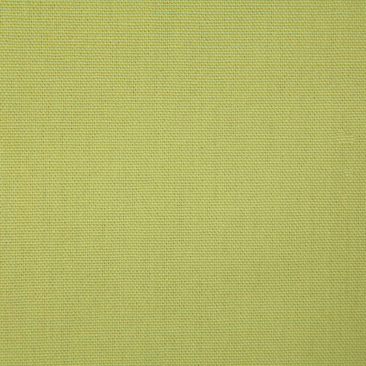2381-callahan-parrot-pindler - Pindler Tela