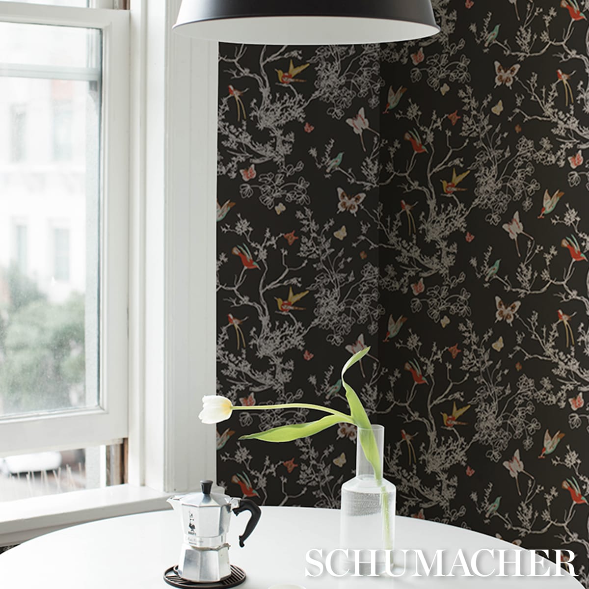 BIRDS-BUTTERFLIES-GRAPHITE-SCHUMACHER-2704422 - Schumacher Wallpaper