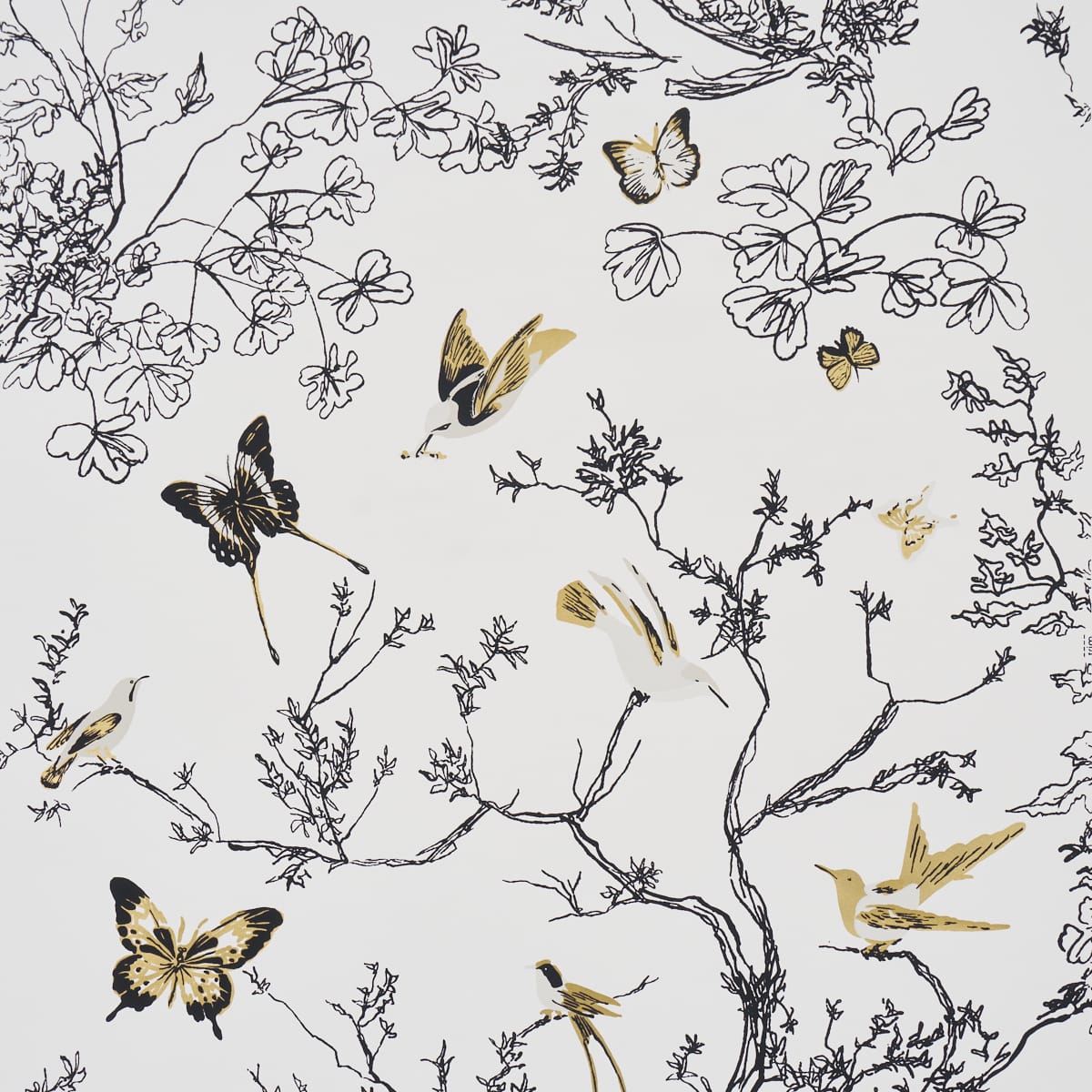 BIRDS-BUTTERFLIES-NEUTRAL-SCHUMACHER-2704424 - Schumacher Wallpaper