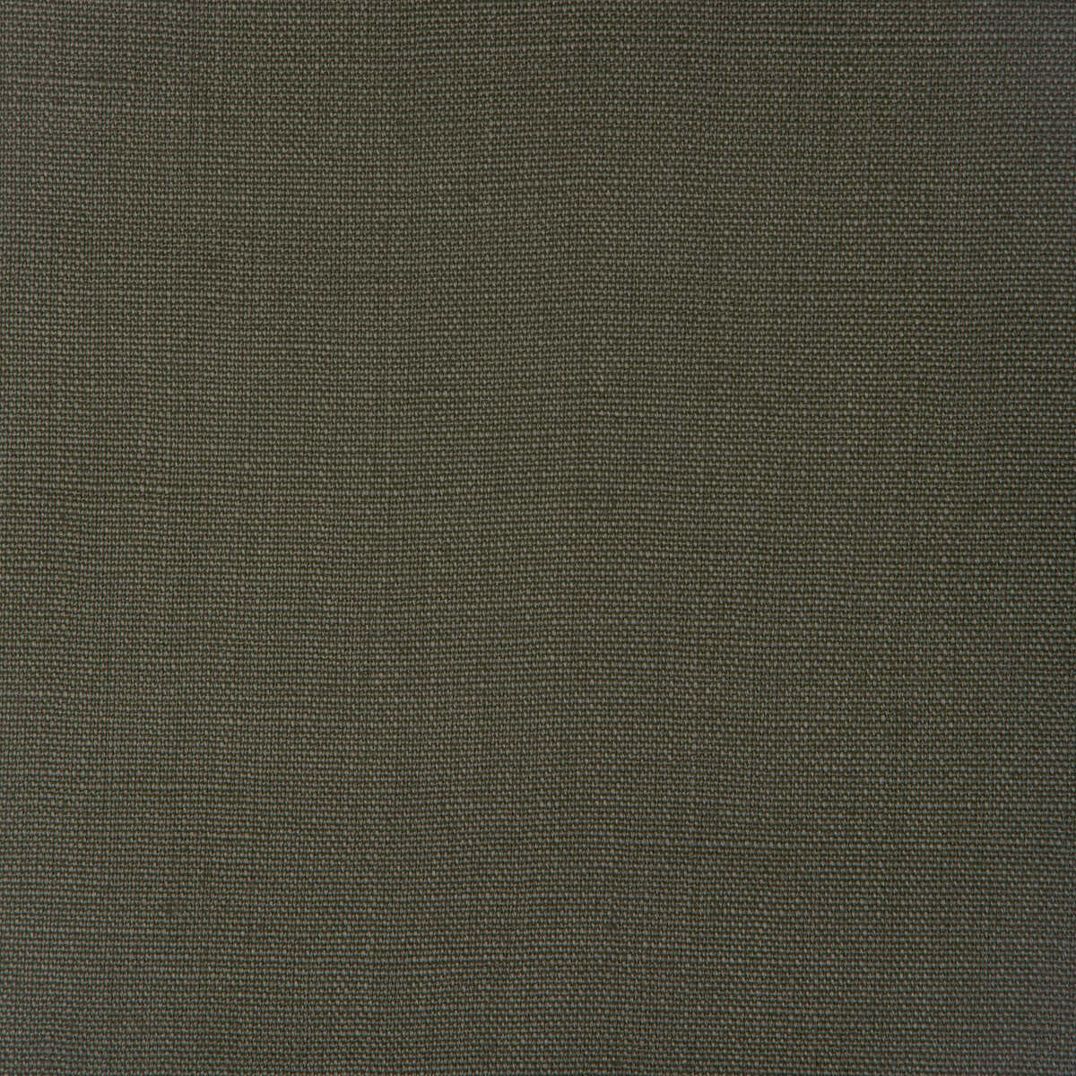 Stone Harbor - Kelp - KRAVET BASICS Fabric