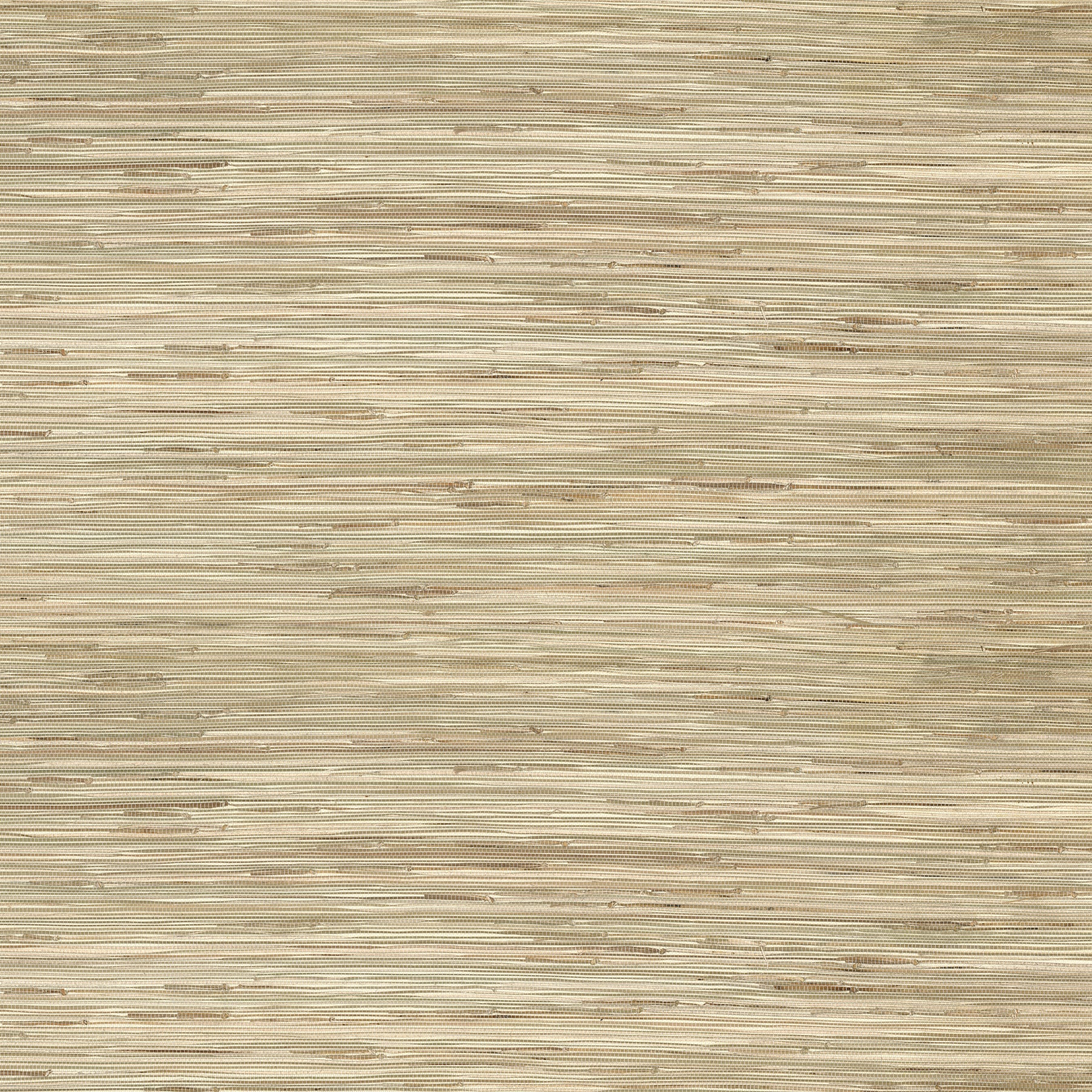 Sogen Neutral Knotted Grasscloth Wallpaper - Neutral - York Wallcoverings - 2923-65621
