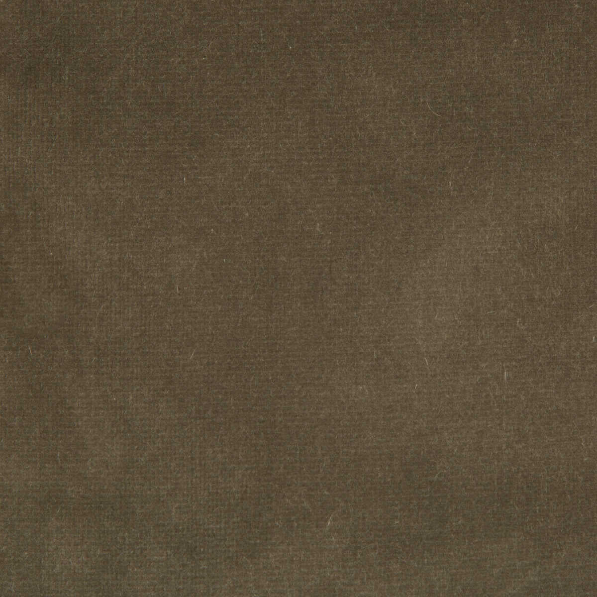 Versailles - E20504