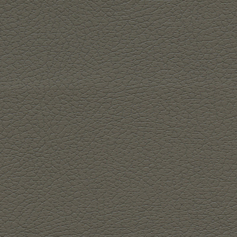 BRISA-SHITAKE-SCHUMACHER-303-3022
