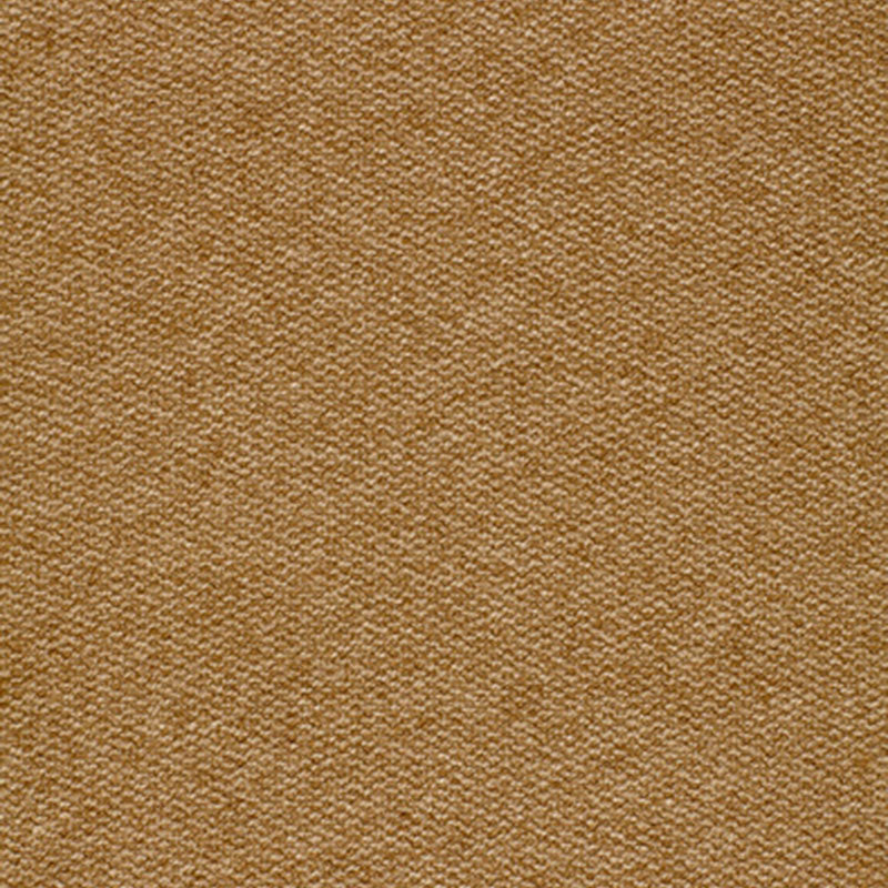 TWEEDY-VICUNA-SCHUMACHER-3199031