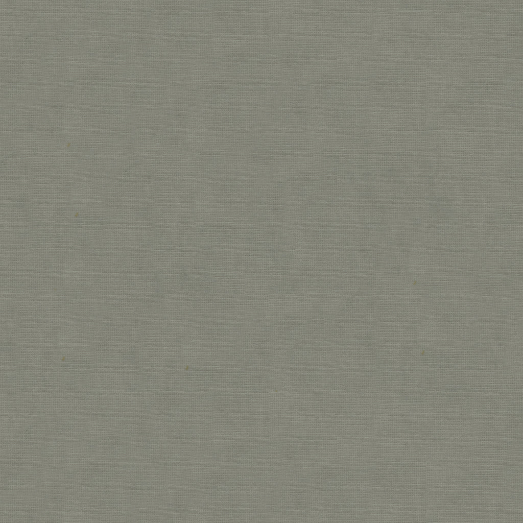Charmant Velvet - Pewter - Brunschwig & Fils Fabric