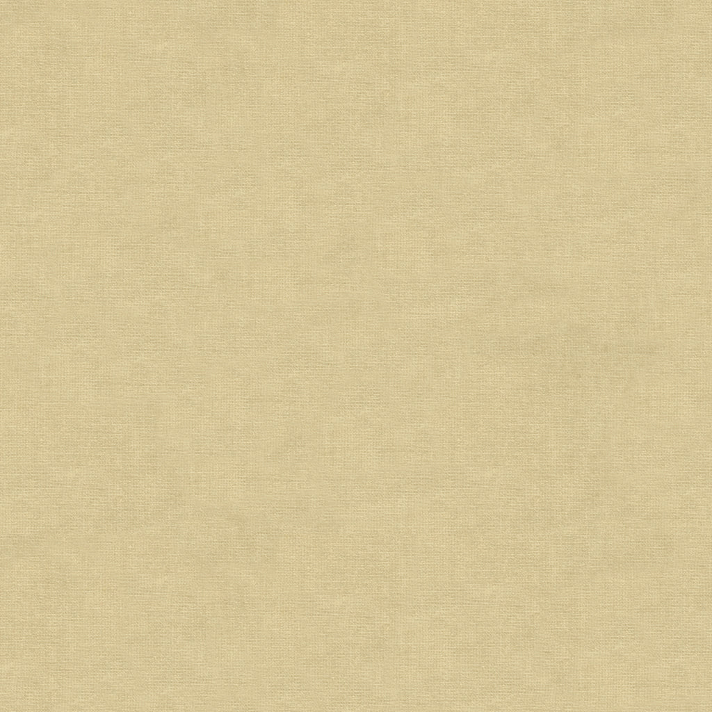 Charmant Velvet - Ecru - Brunschwig & Fils Fabric
