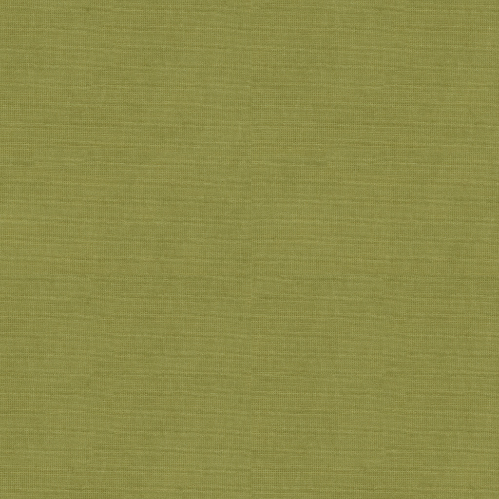 Charmant Velvet - Fern - Brunschwig & Fils Fabric