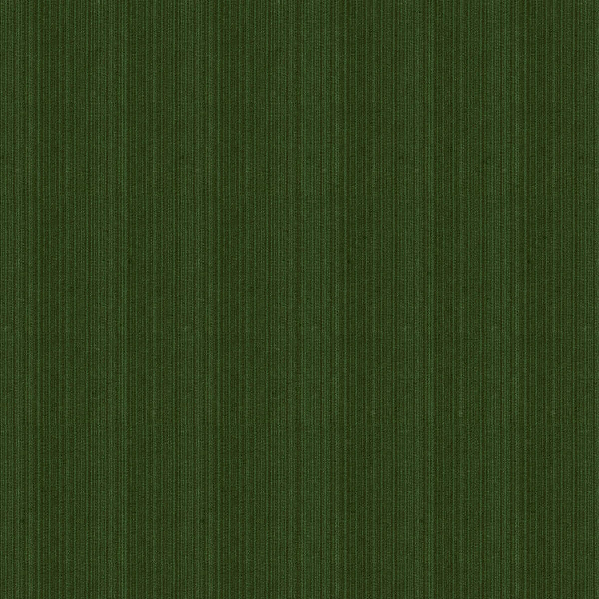 Kravet Contract - 33353-303 - KRAVET CONTRACT Tela
