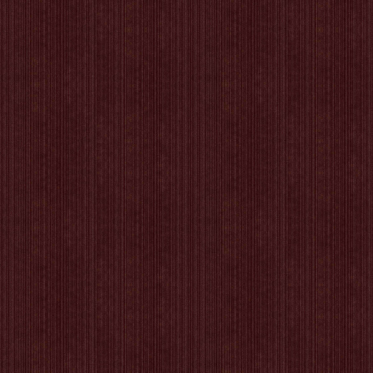 Kravet Contract - 33353-909 - KRAVET CONTRACT Tela