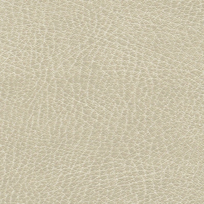 BRISA-DISTRESSED-PUTTY-SCHUMACHER-335-3021