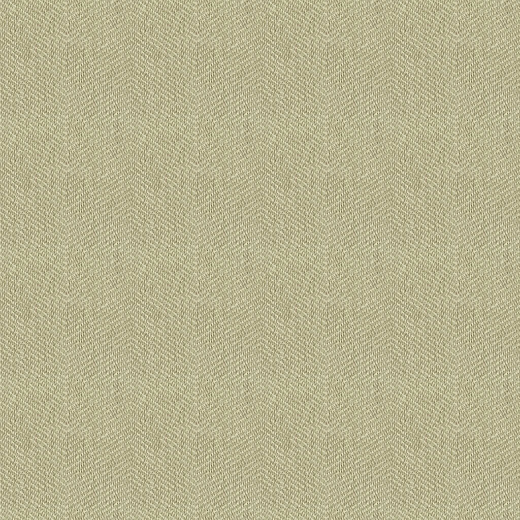 Kravet Contract - 33877-106