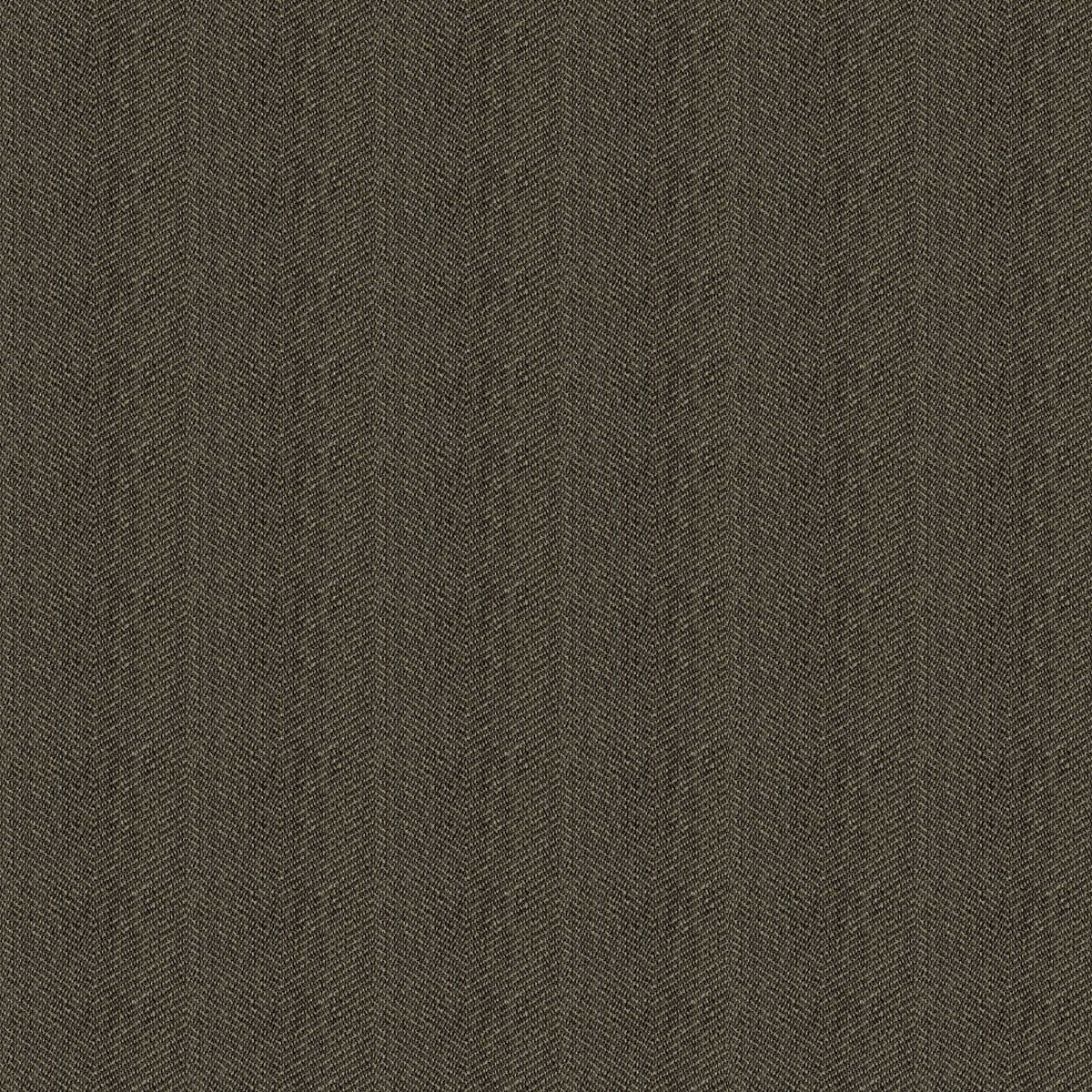 Kravet Contract - 33877-8