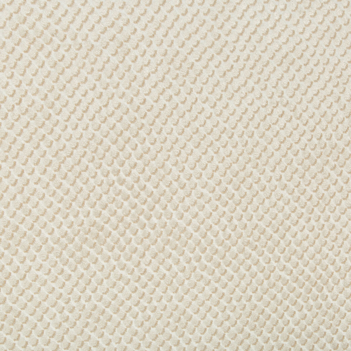 Mazzy Dot - Parchment