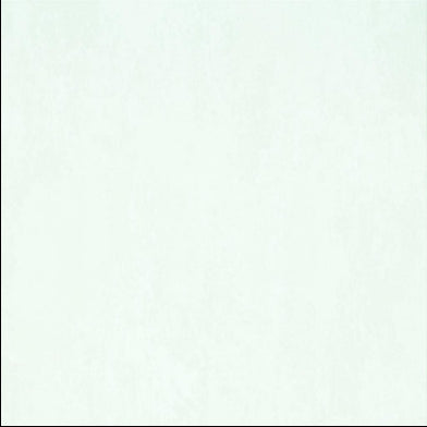 ajanta-designers-guild-p555-01