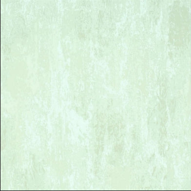 ajanta-designers-guild-p555-02