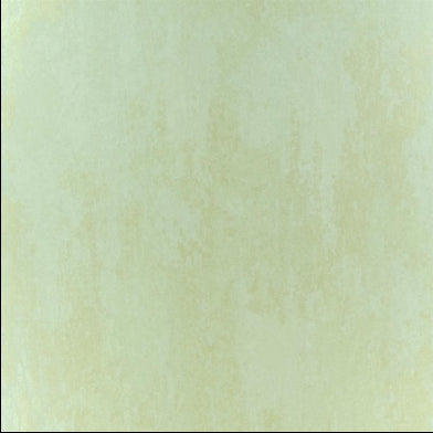 ajanta-designers-guild-p555-04