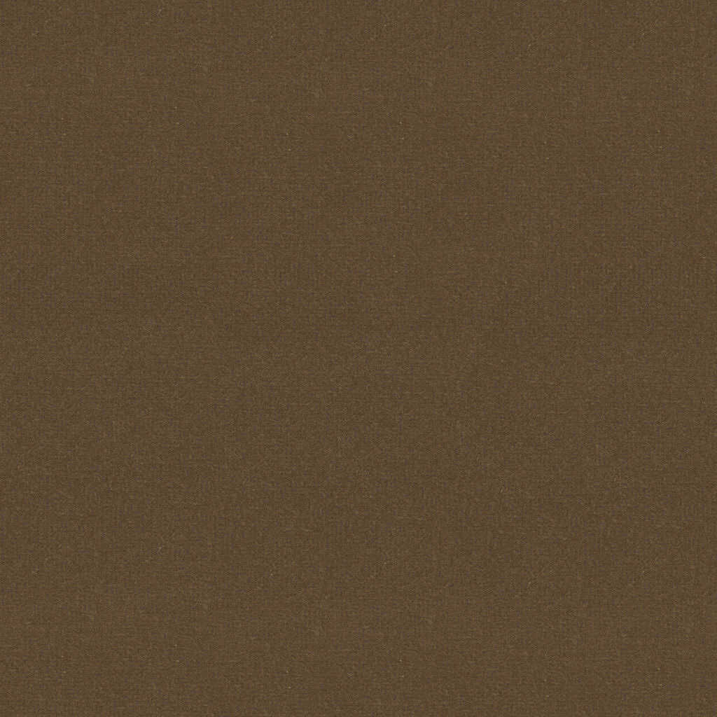 Oxford Velvet - Mocha