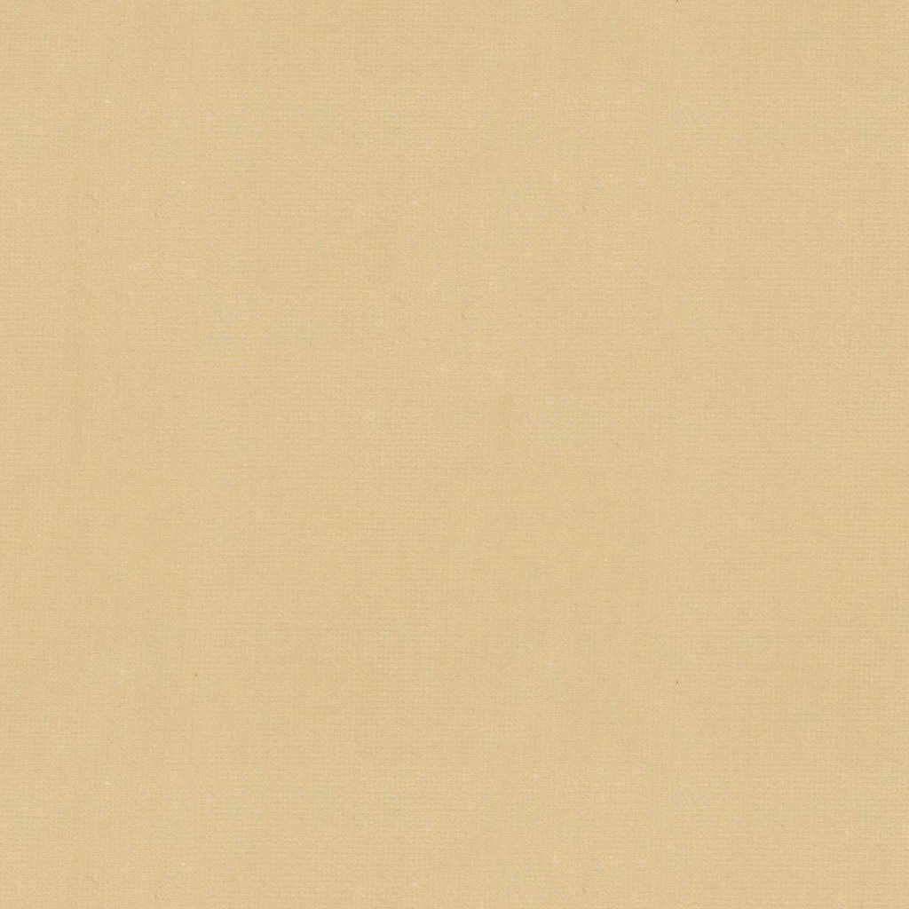 Oxford Velvet - Cream