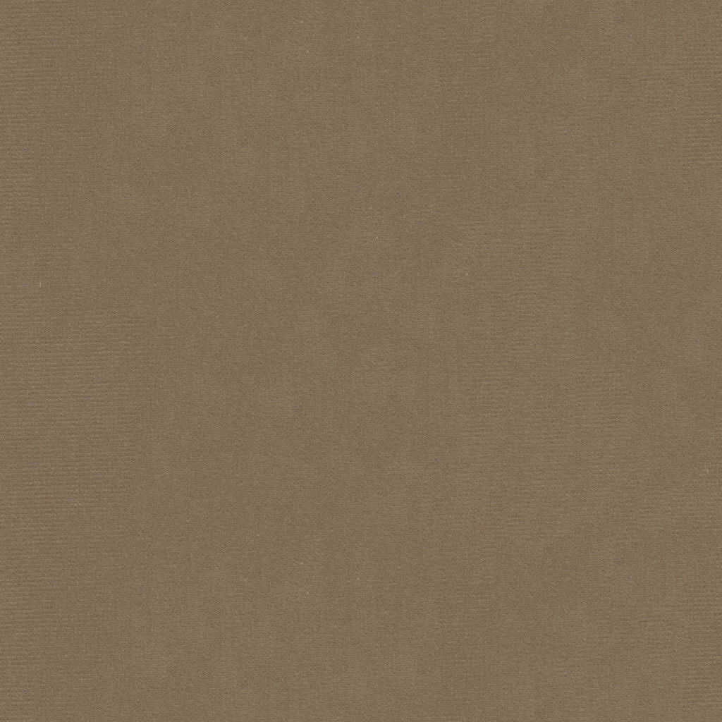 Oxford Velvet - Taupe