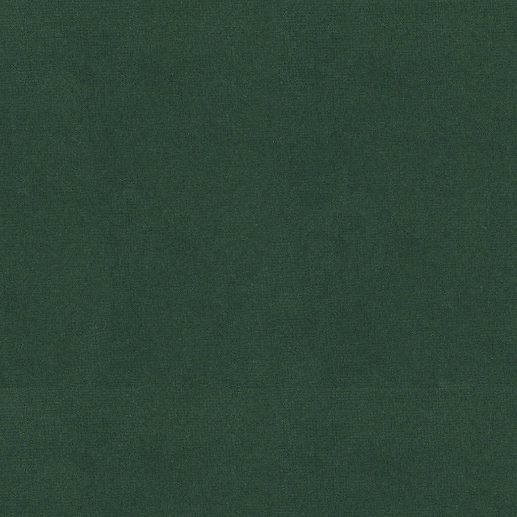 Oxford Velvet - Sea Green