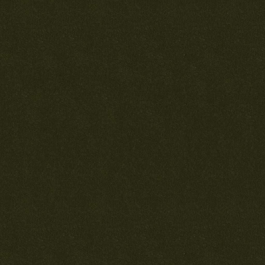 Oxford Velvet - Forest