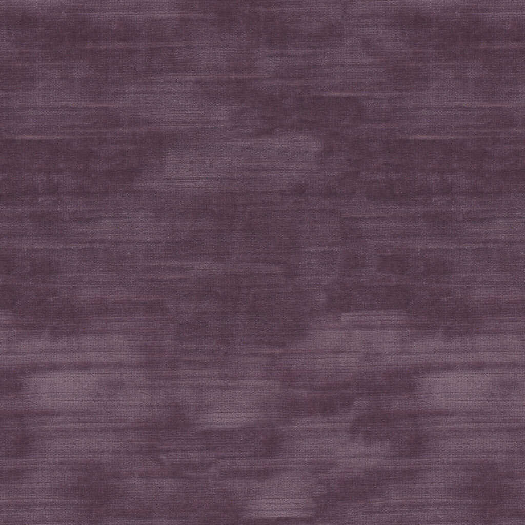 Lazare Velvet - Wisteria