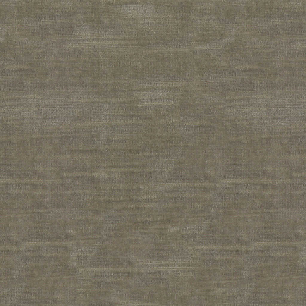 Lazare Velvet - Dove - BRUNSCHWIG & FILS Tela