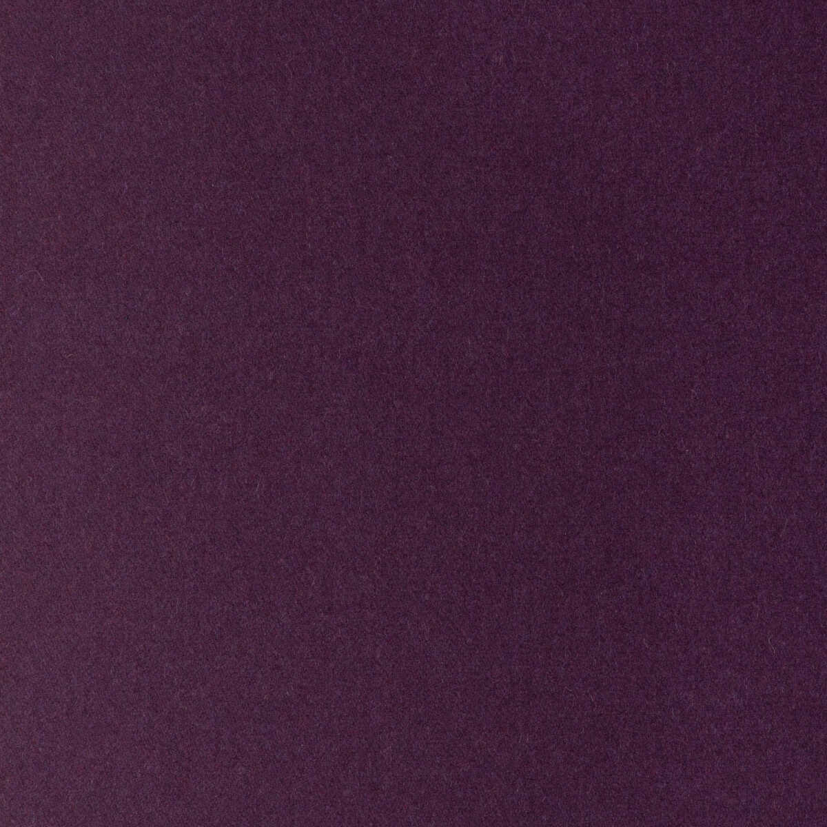 Jefferson Wool - Blackberry
