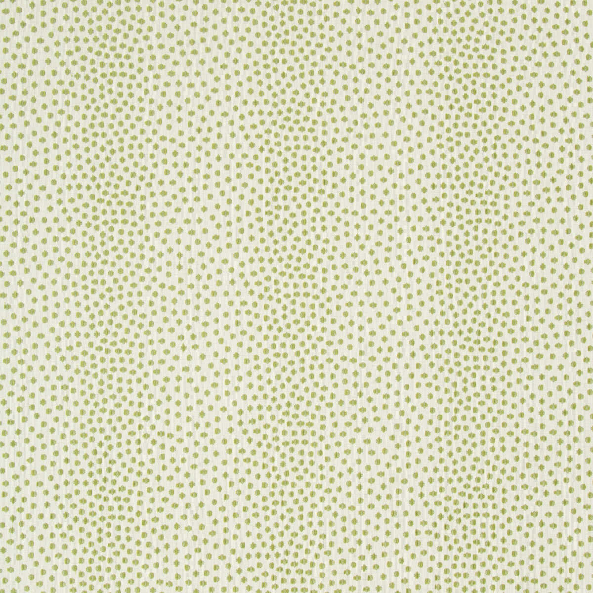Kravet Contract - 34748-13