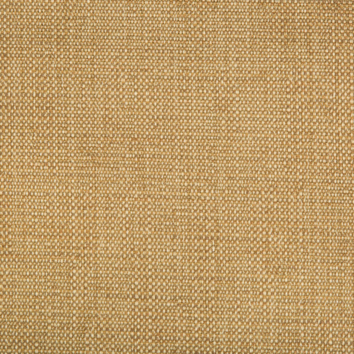 Kravet Contract - 34768-616