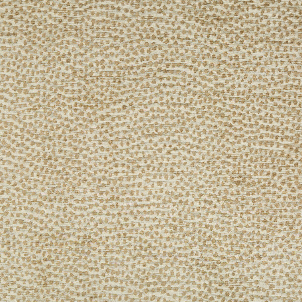Kravet Contract - 35012-4