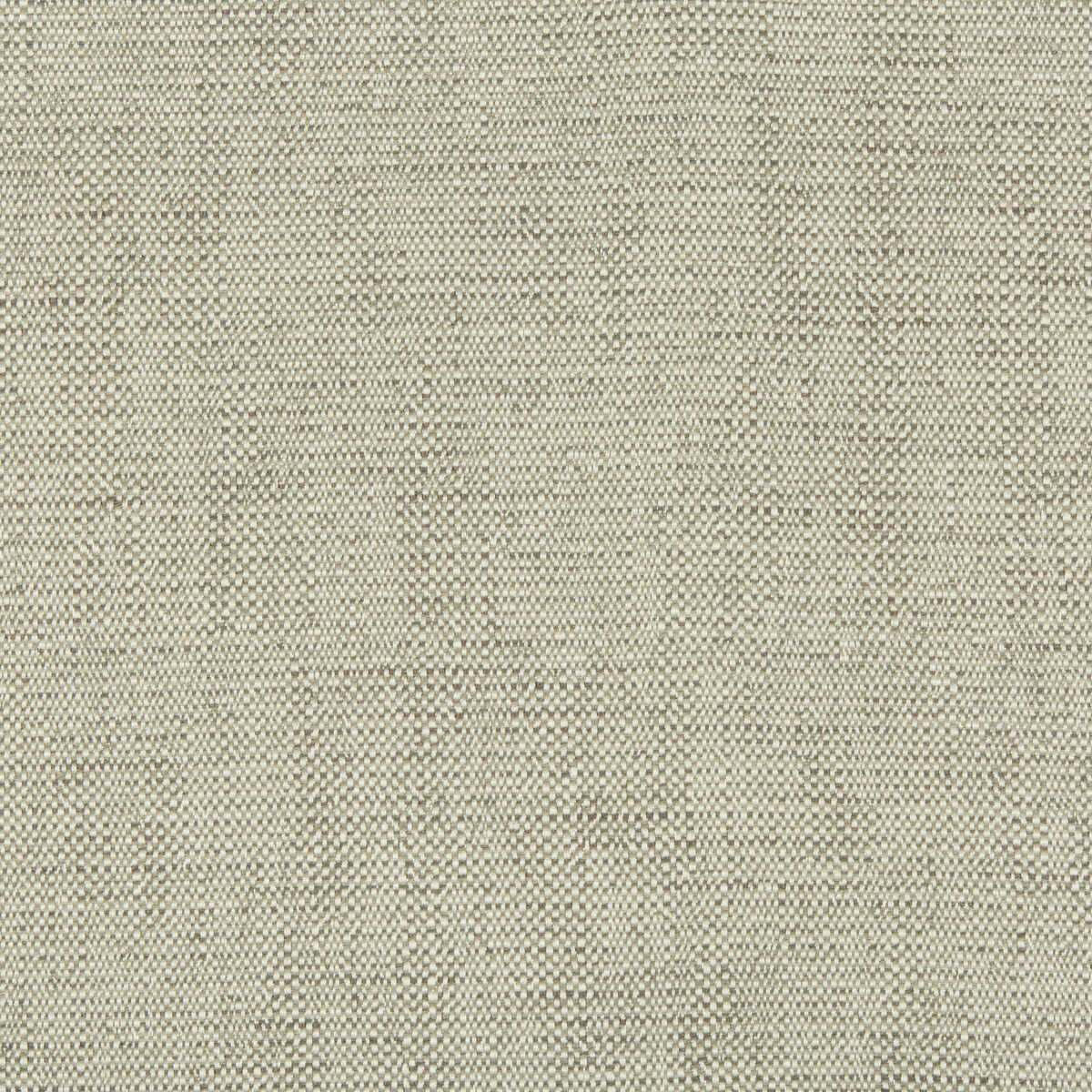 Kravet Contract - 35132-11
