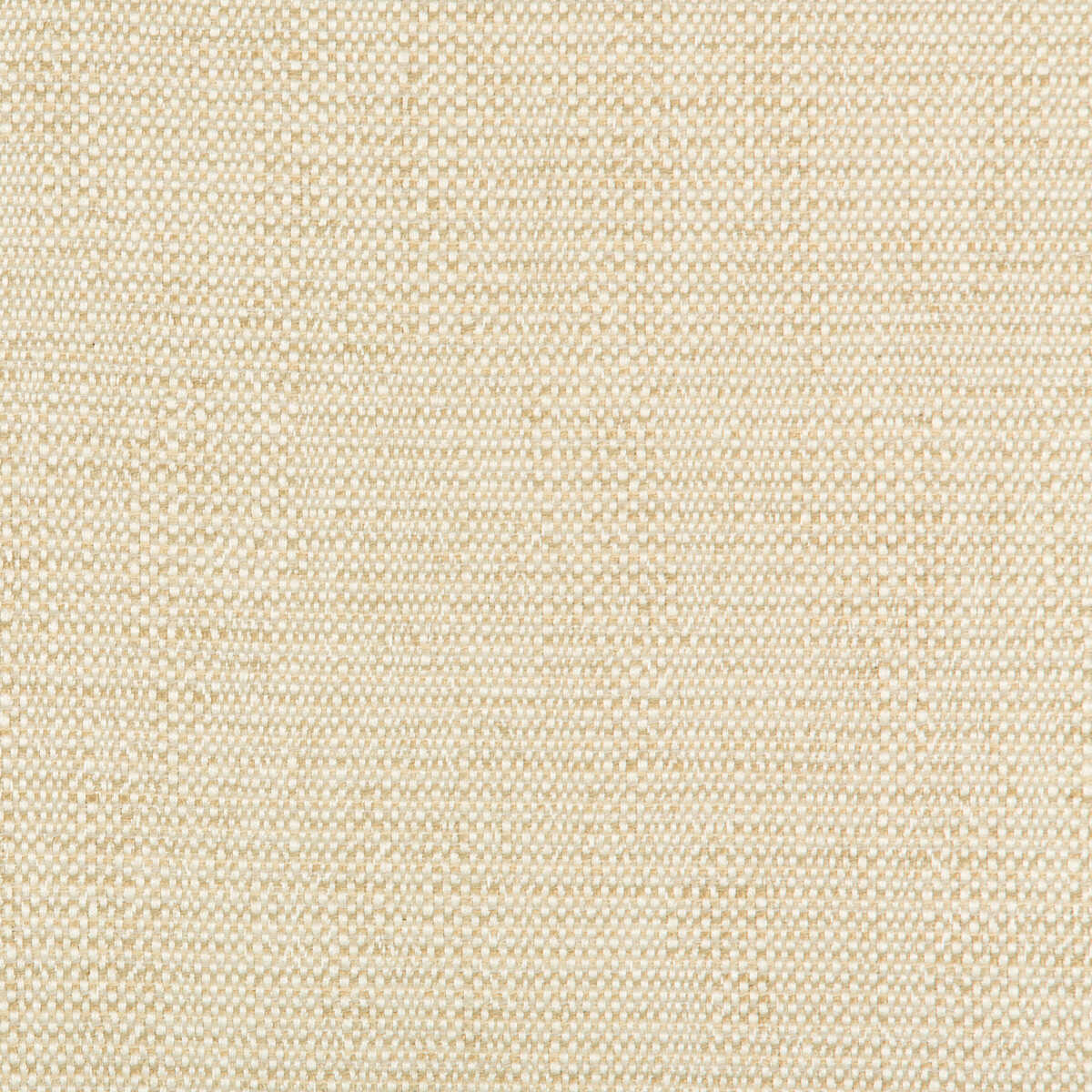 Kravet Contract - 35132-116