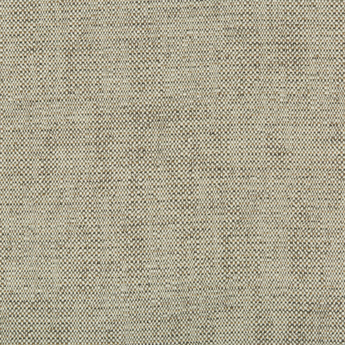 Kravet Contract - 35132-1611
