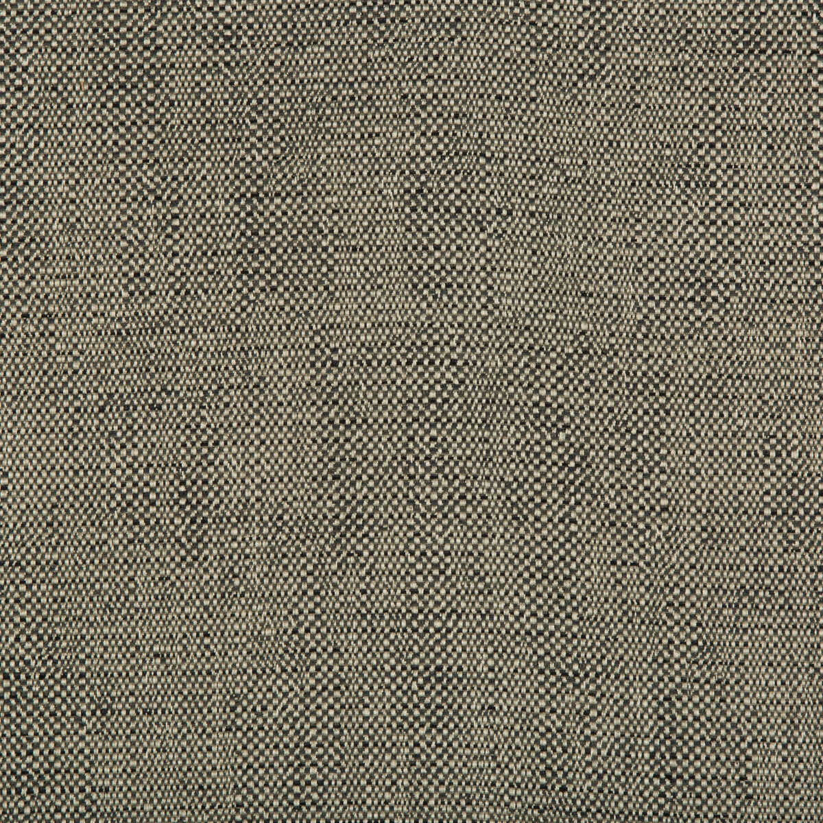 Kravet Contract - 35132-21