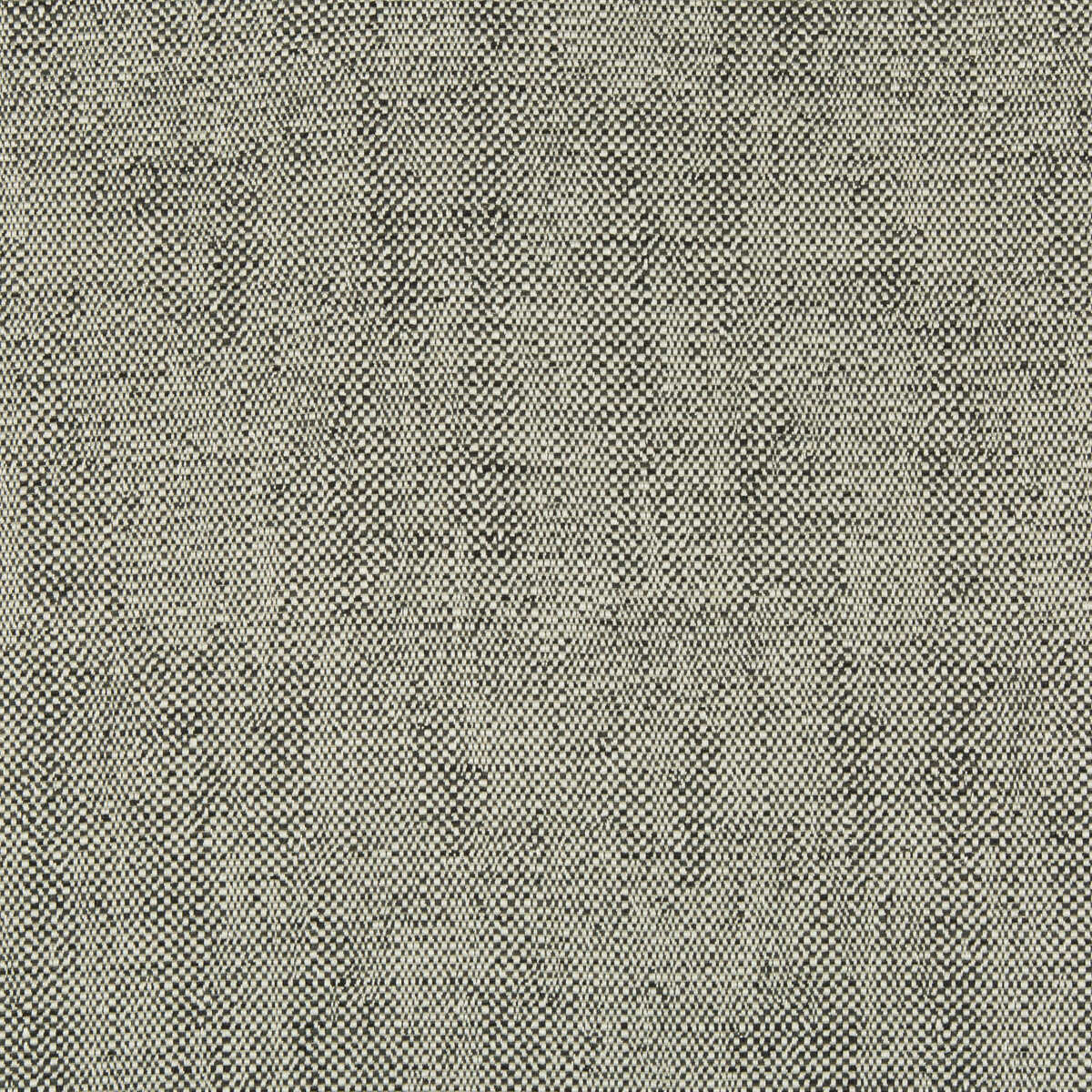 Kravet Contract - 35132-81