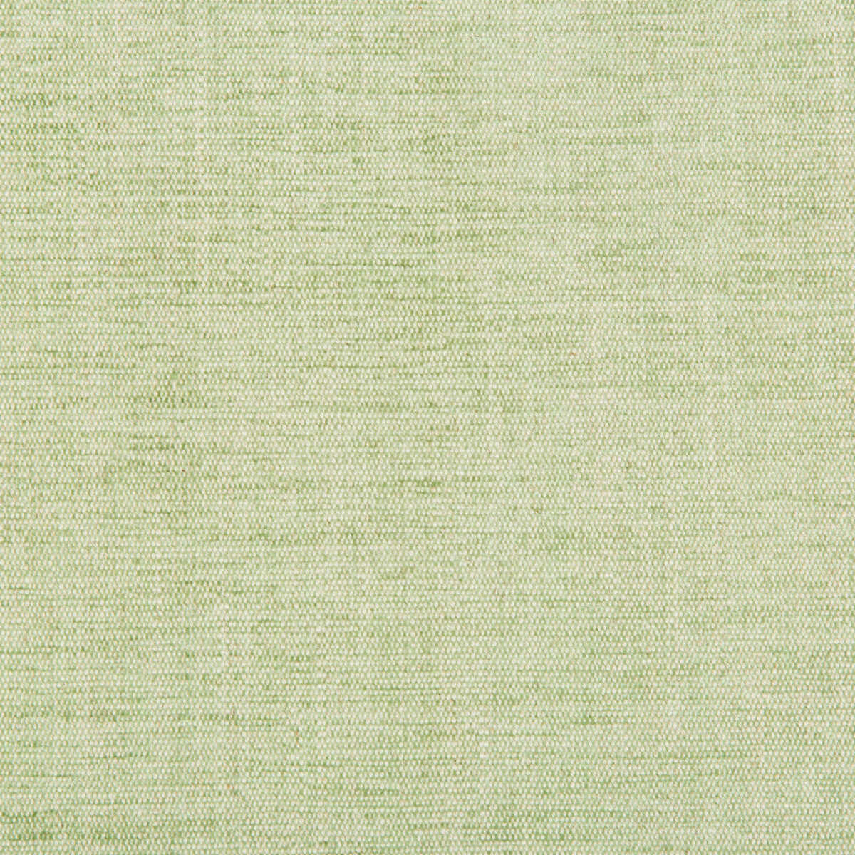 Rutledge - Leaf - KRAVET BASICS Fabric