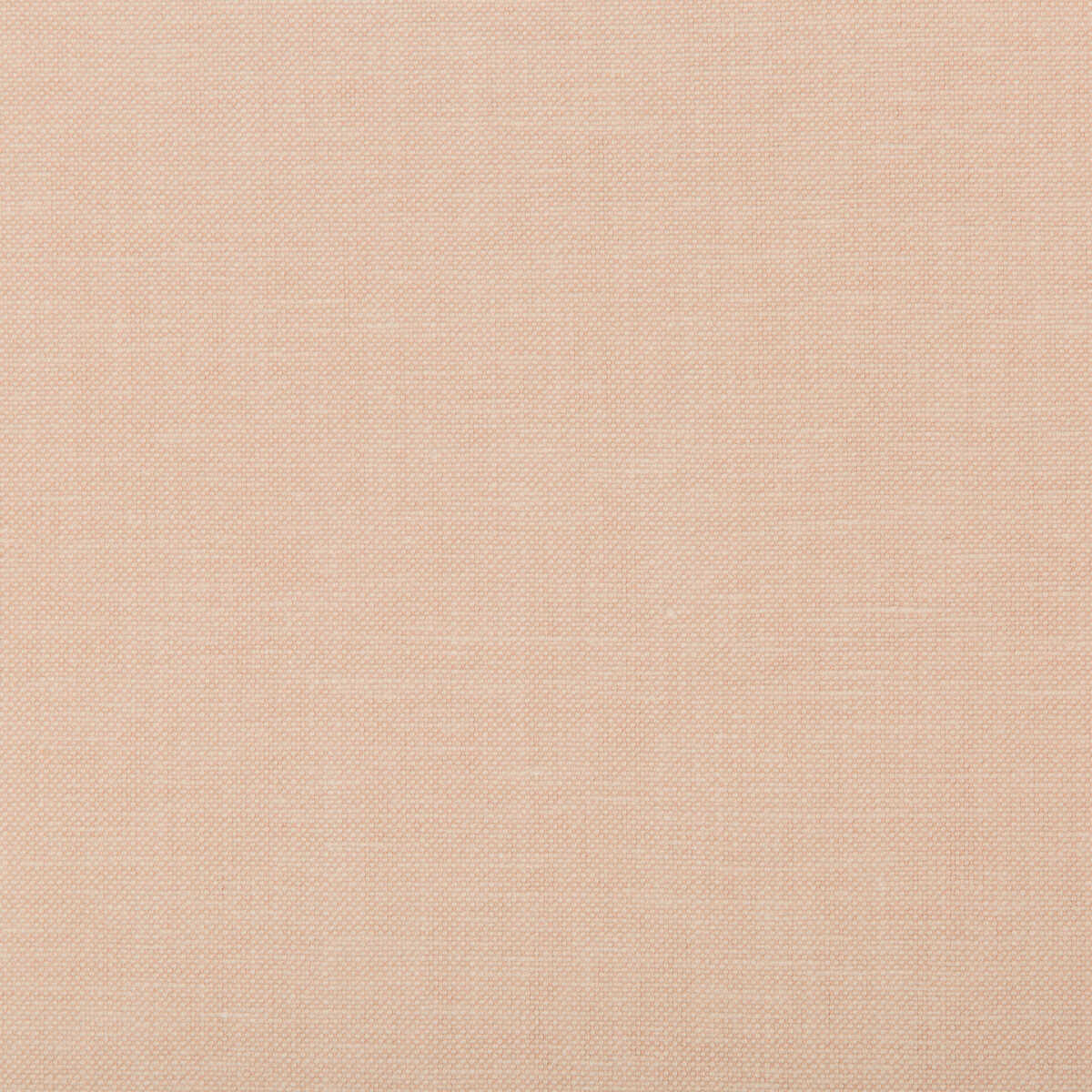 Oxfordian - Blush - KRAVET BASICS Fabric