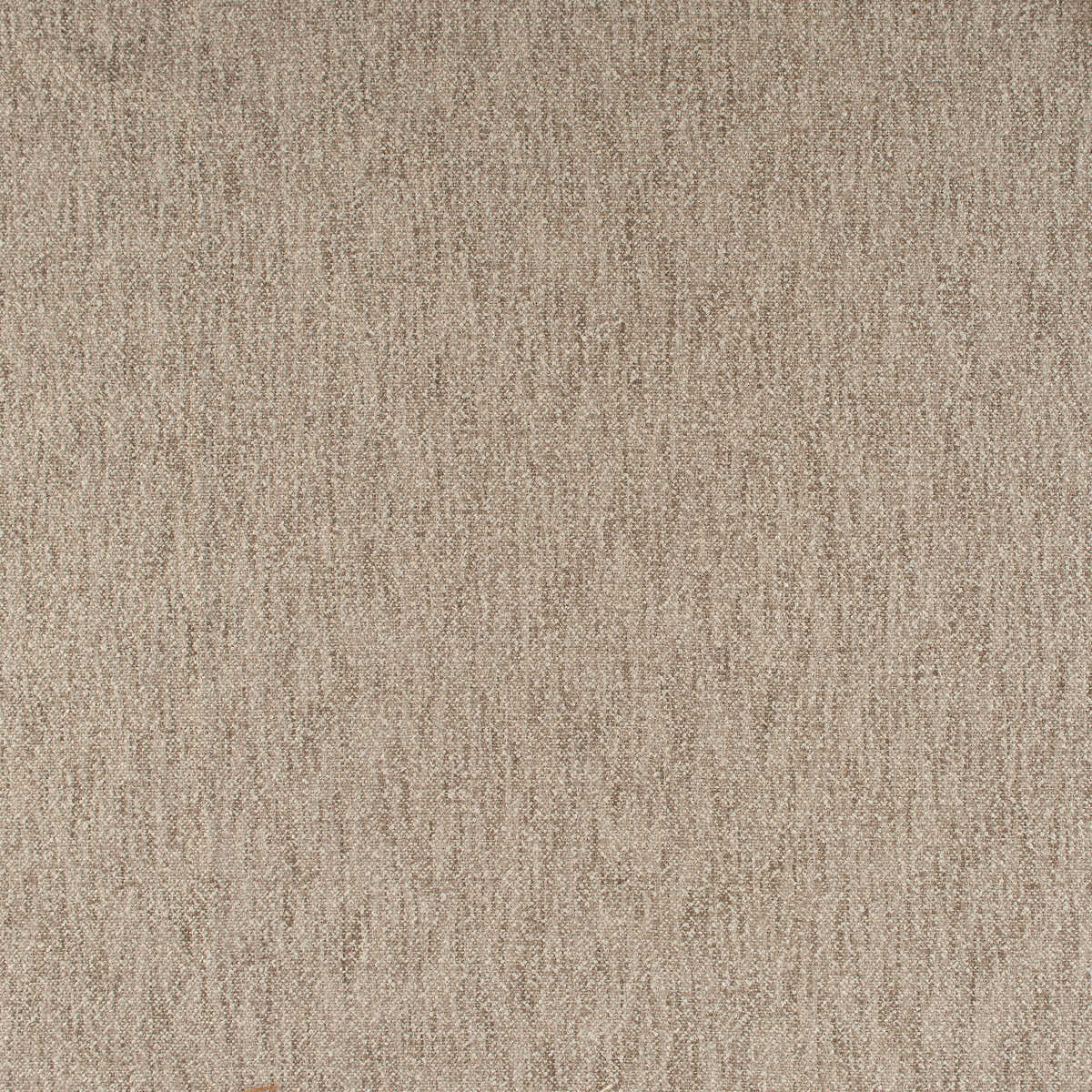Palos Verde - Bark