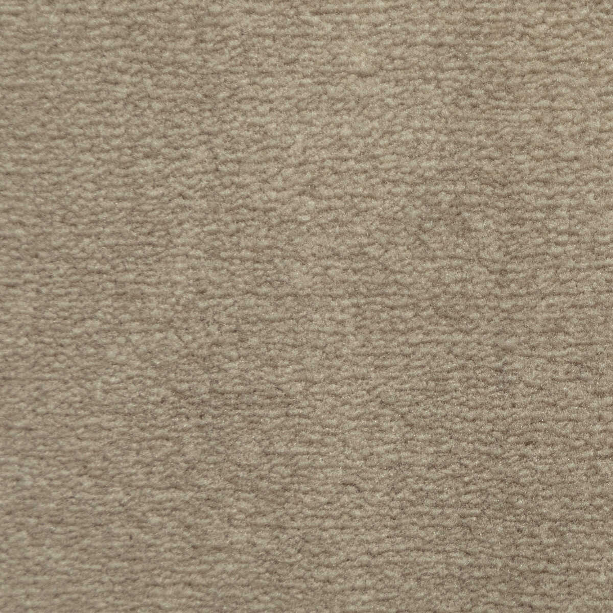 Plushilla - Beige - KRAVET BASICS Fabric