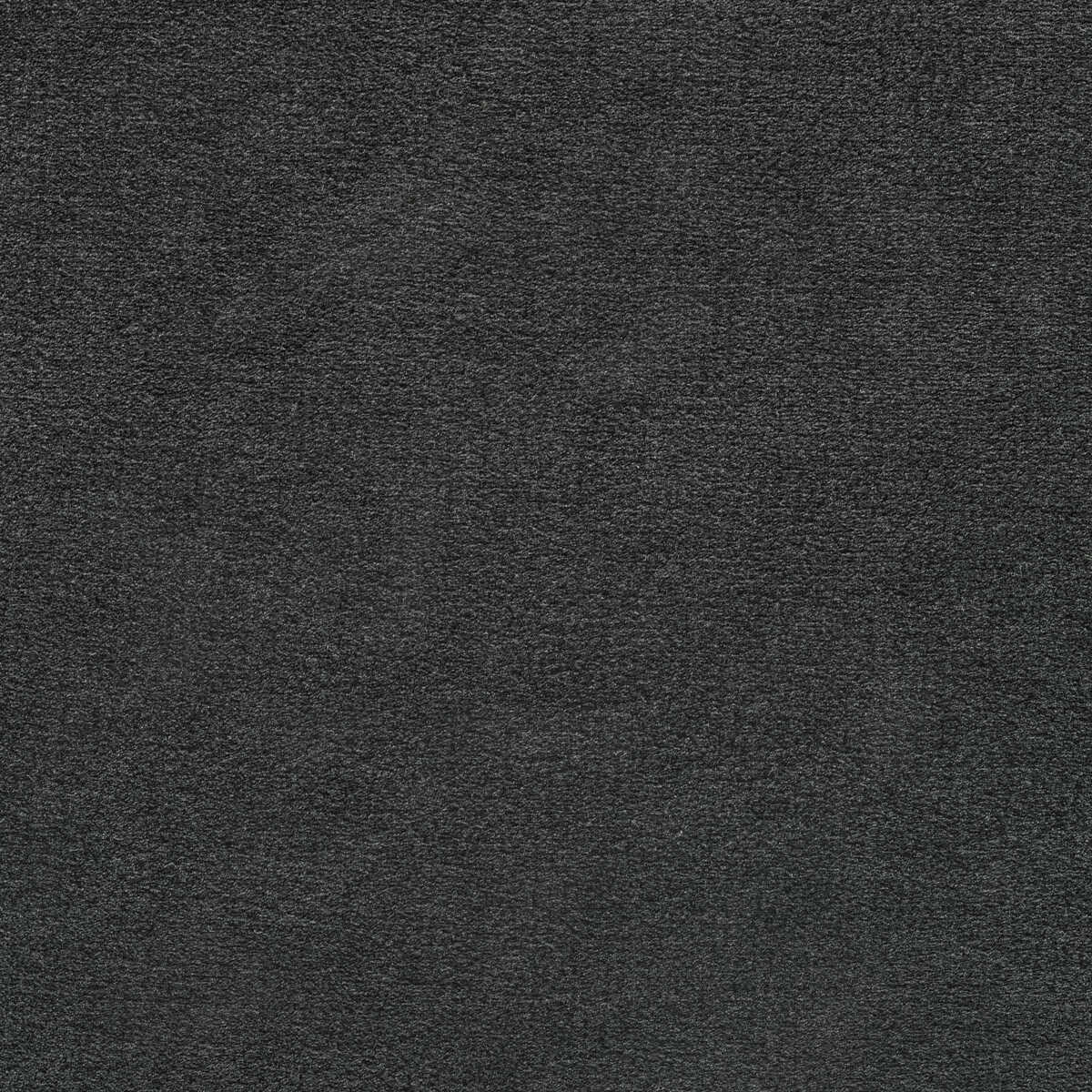 Plushilla - Charcoal