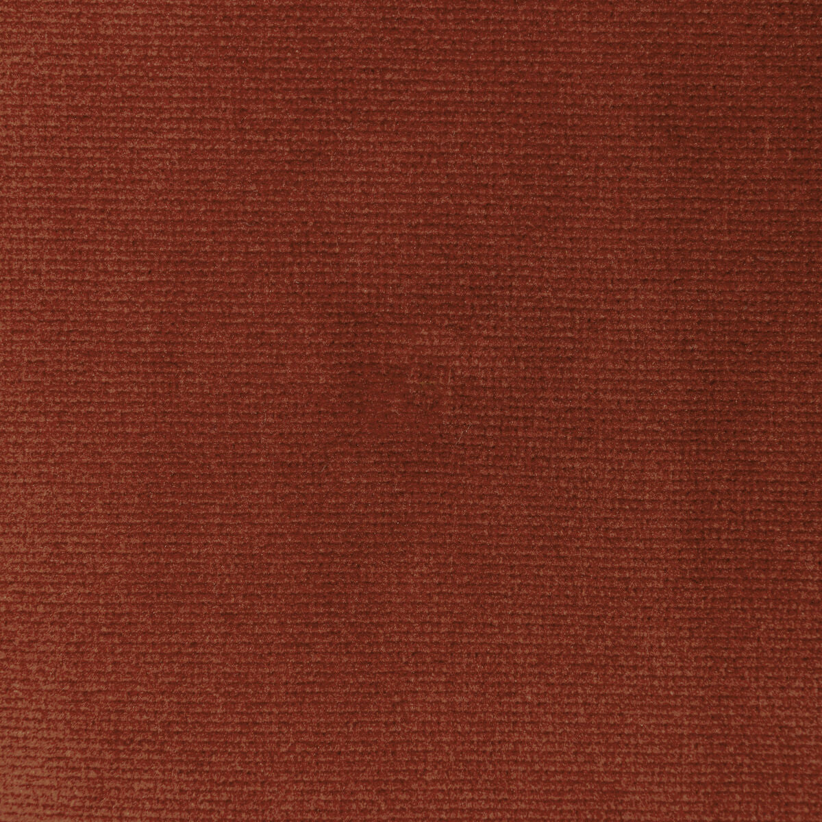 Kravet Smart - 36111-24 - Kravet Smart Tela