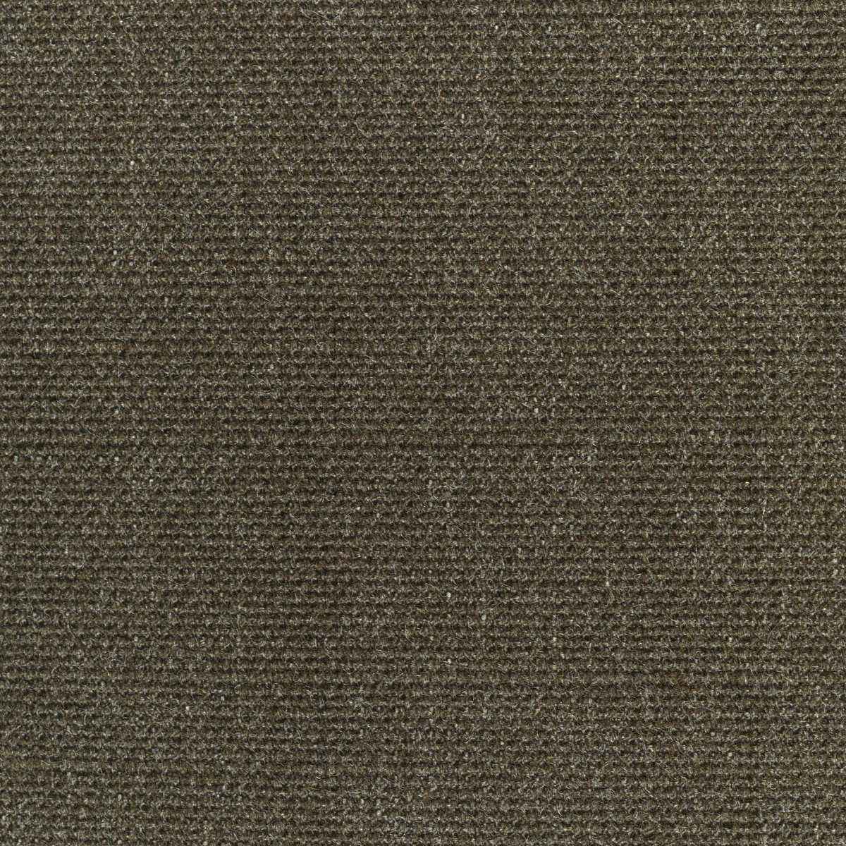 Kravet Smart 36112 311 Fabric - KRAVET SMART Fabric