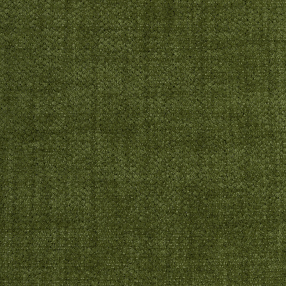 Accommodate - Moss - Kravet Contract Fabric