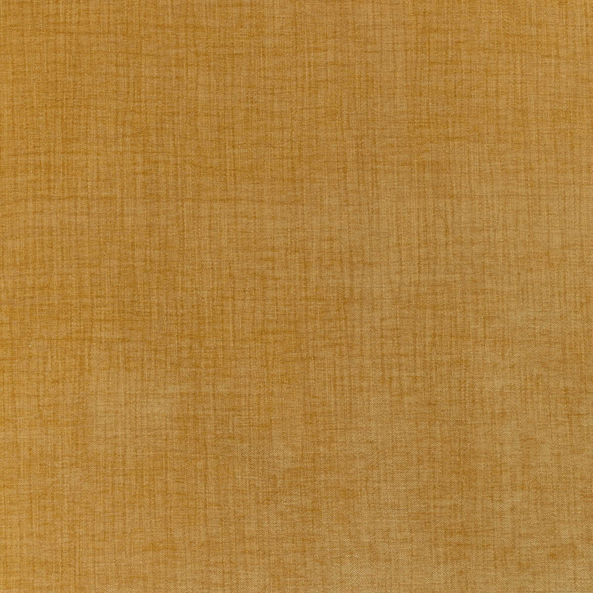 Accommodate - Dijon - KRAVET CONTRACT Fabric