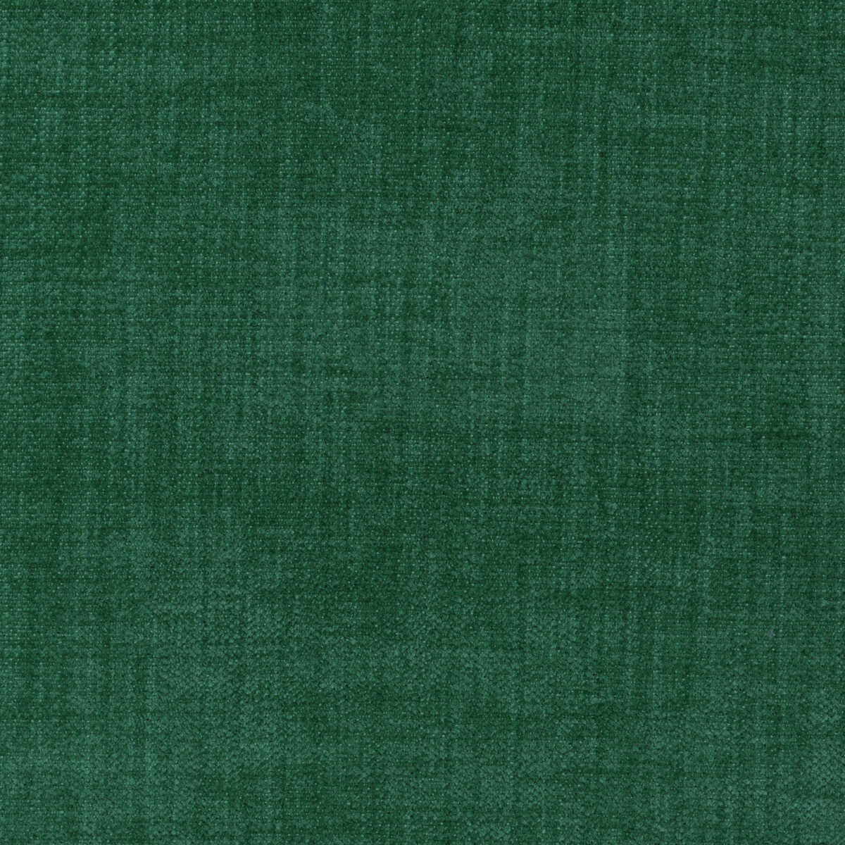 Accommodate - Bottlegreen