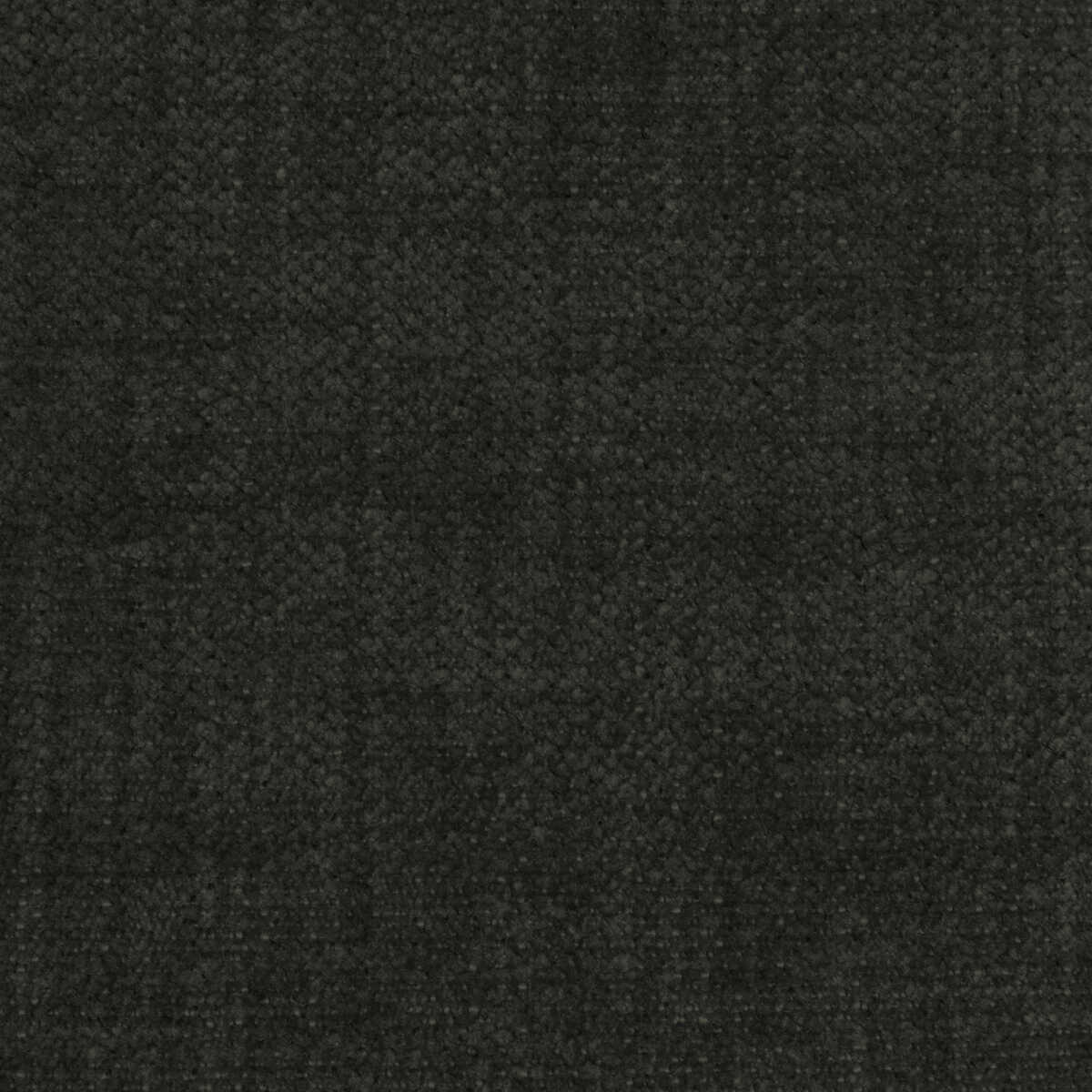 Accommodate - Koala - KRAVET CONTRACT Fabric