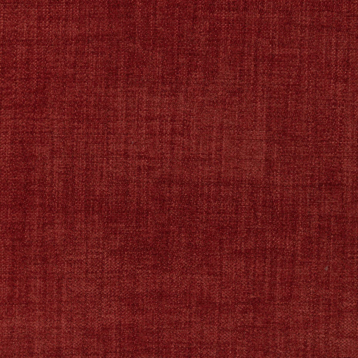 Accommodate - Cranberry