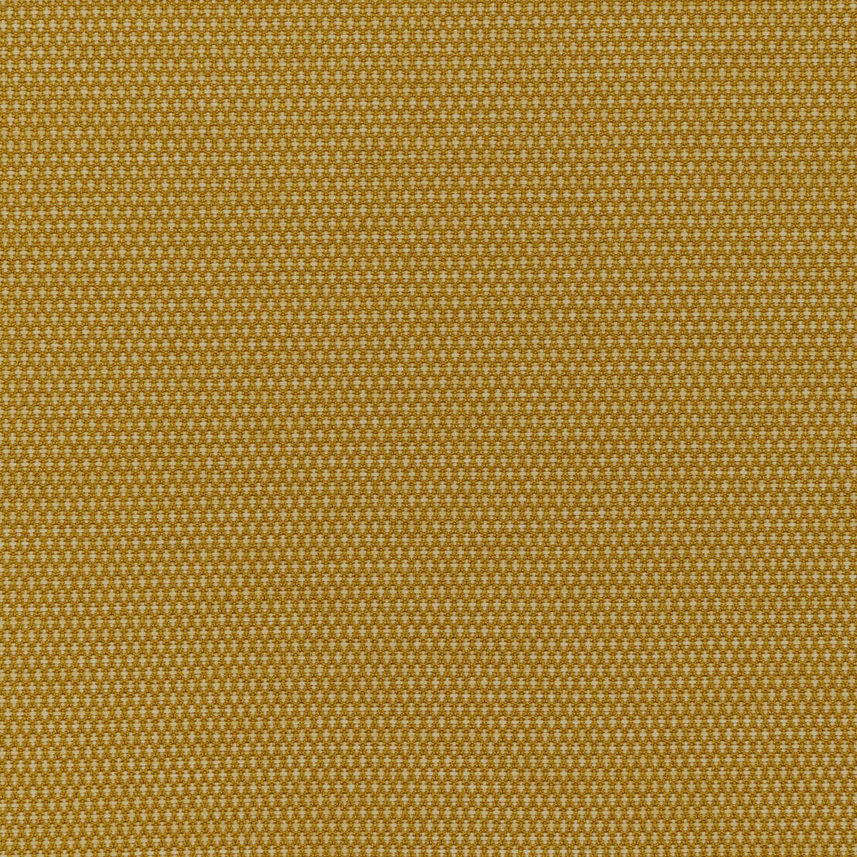 Mobilize - Midas