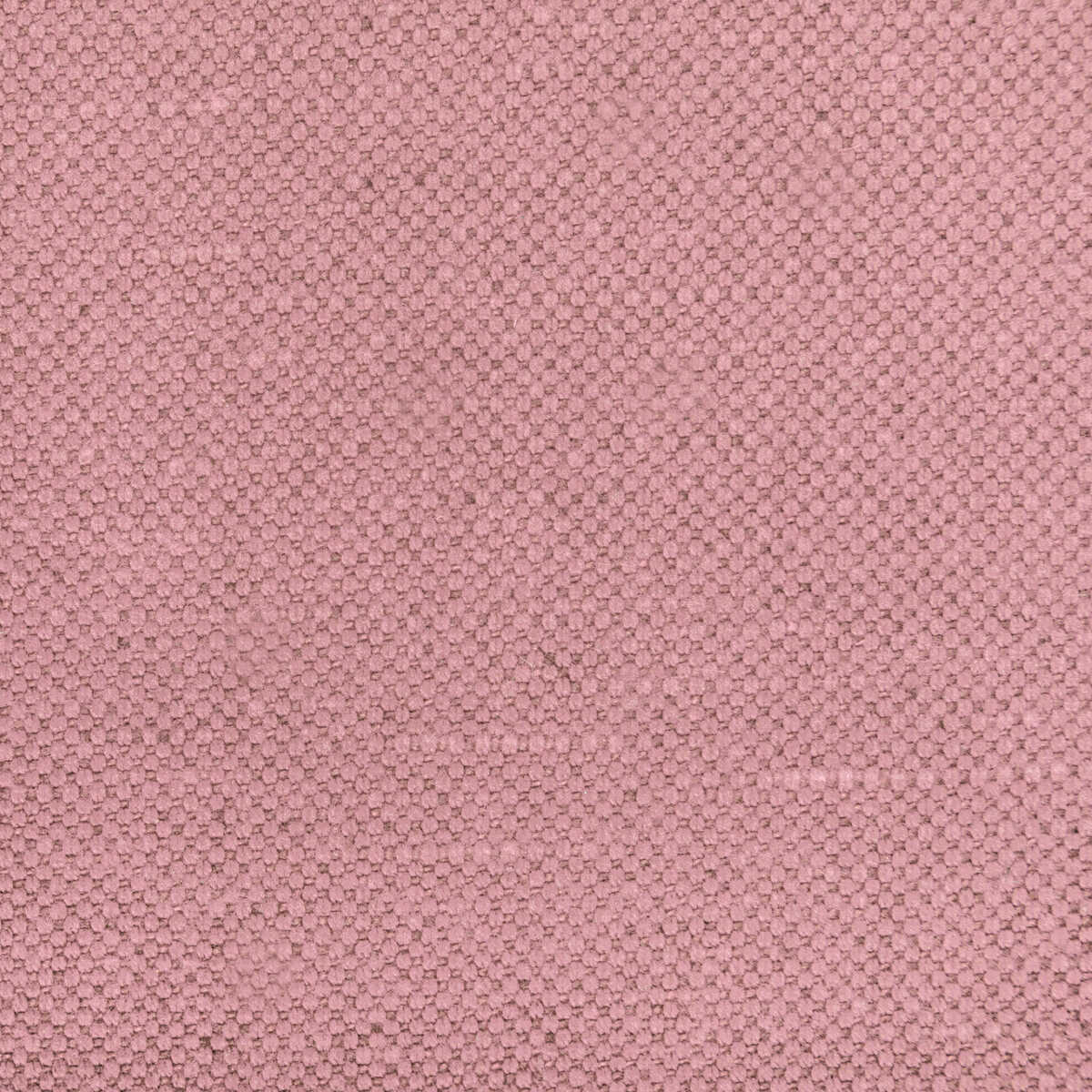 Carson - Thistle - KRAVET BASICS Fabric